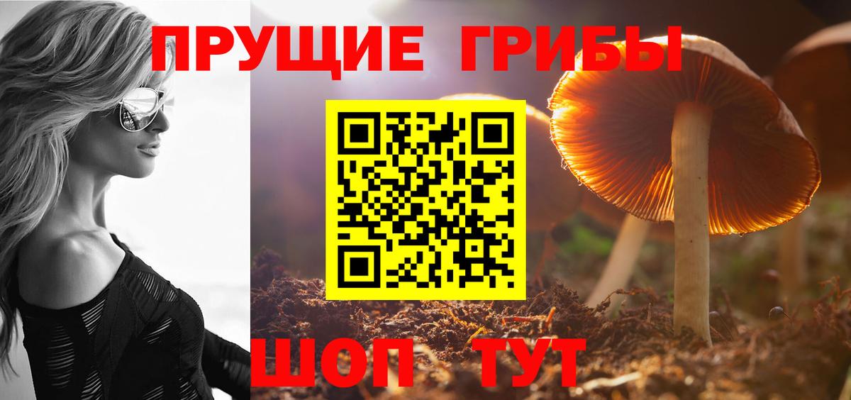 Усть-Джегута  Галлюциногенные грибы мицелий  Псилоцибиновые грибы GOLDEN TEACHER  Вход с VPN 