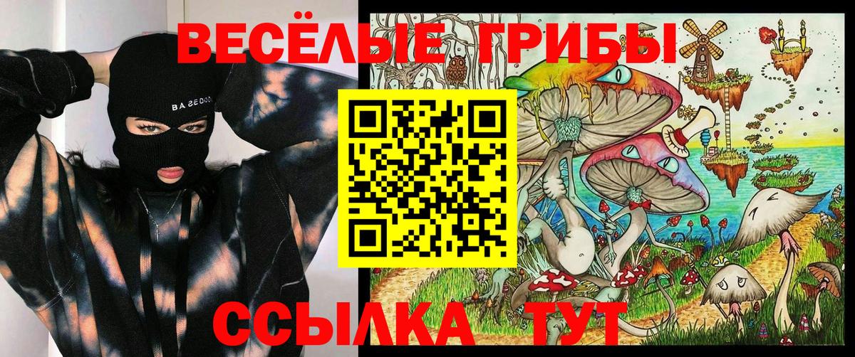 Галлюциногенные грибы ЛСД Усть-Джегута